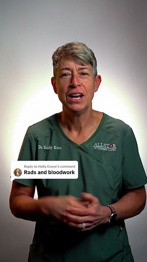 Replying to @Holly Evans radiographs and a lab panel would be the two diagnostic tools you’d use to diagnose this cat! #veterinarian #veterinariansoftiktok #vettechsoftiktok #vettechtok