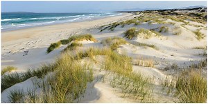 Depositional Landforms