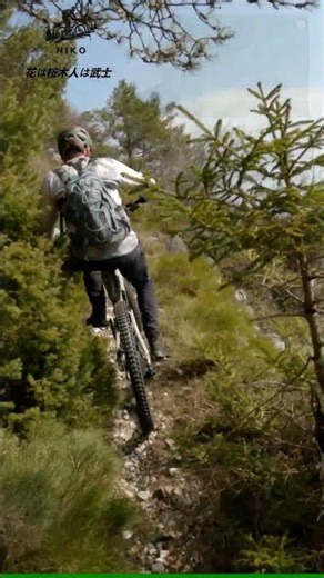 San Valentino - Monte Carone - Passo Guil - Passo Rocchetta 10.03.26 Highlights