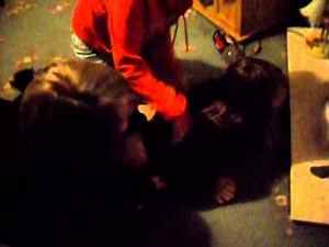 Getting tickled to death.