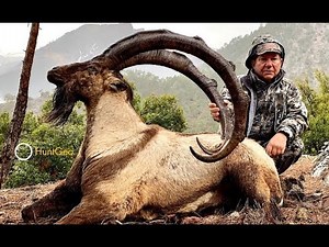 Bezoar Ibex hunt in Turkey - Record Billy