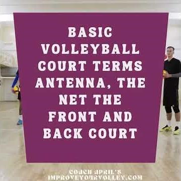 Learn The Basic Volleyball Rules and Terminology: A Beginner's Guide
