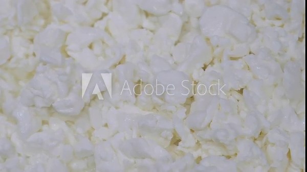 Production of Dairy Based Products. Manufacturing Facility. Curdling Process. Fresh Curd laying in Container. Cheesemaking. Extraction of Milk Cream. Modern Equipment. Cottage Cheese. Close up