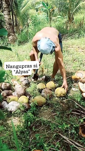 Mahal nang KuPras Makapalit tag bugas #fbreelsfypシ゚viralvideo #highlightseveryonefollowers2025 #highlightsシ゚ #fbreelsviral | Warren Cadungog