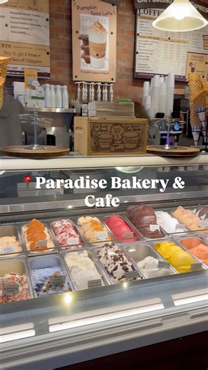 Aspen, Colorado Vlog part 2 #aspencolorado #aspen #travel #bakery #market