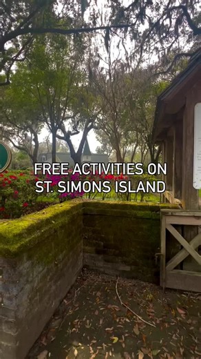 Explore the Beauty of Georgia's Golden Isles