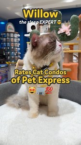 4.8K views · 54 reactions | When it comes to knowing the right Cat Condo for your cattos, we only trust the expurrts: CATS!  Our sleep expert Willow Sungit definitely knows which condo is the best one to sleep in! That's why we let this cute catto try out all the cat condos available at Pet Express so that you have an idea which one you can get for your cat! ☁️ Which one did you like best? Let us know in the comments! | PetExpress | Facebook