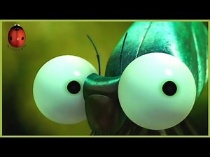 Ladybugs 🐞 Minuscule 🍃 15' Compilation