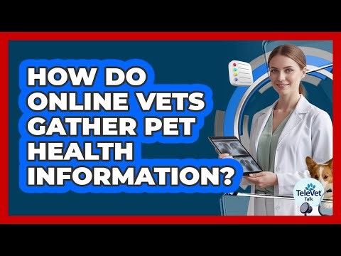 How Do Online Vets Gather Pet Health Information?