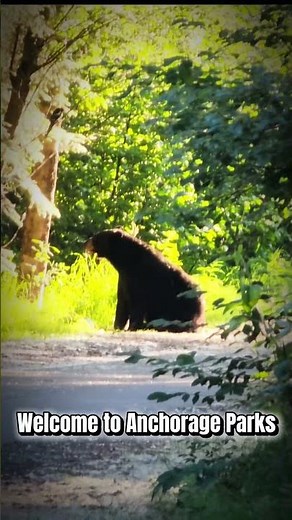 Welcome to Anchorage Parks, Alaska