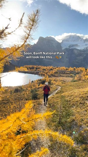 Jana & Matej Rybarsky ↟ Adventure Travel | Whether we’re ready or not, fall and larch season are just around the corner 👀 The good news is, it is one of the most beautiful times of... | Instagram