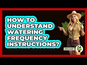 How To Understand Watering Frequency Instructions?