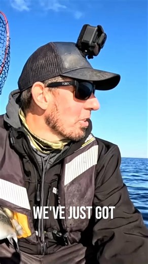 Live Ops Dozer Minnow review by Alan Bonnici. The Dozer Minnow is the ultimate match the hatch - replicating a baitfish to a T! The Dozer throws out a massive body roll with a hard tail thump, even at the slowest speeds. Perfect for when the bite is tough and fish need a reason to commit. | Nomad Design Australia