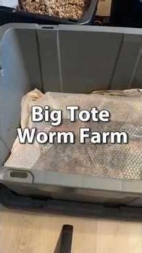 Worm Farming For Beginners | Big Tote Worm Farm #vermicomposting