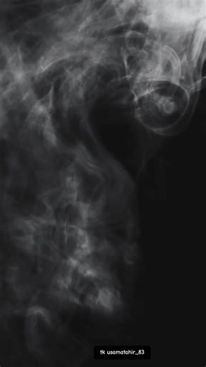 Understanding the 12 Imams of Muslims