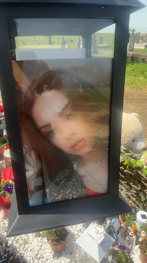 696K views · 8.2K reactions | Bot Cosmina on Reels | Facebook