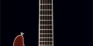 PRS Announces Floyd-Equipped SE Torero