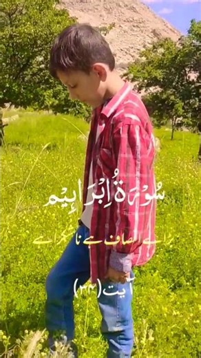 ayat#34 || surah ibrahim || just urdu translated || سورۃ الابراہیم #quran #quranrecitation #islamic