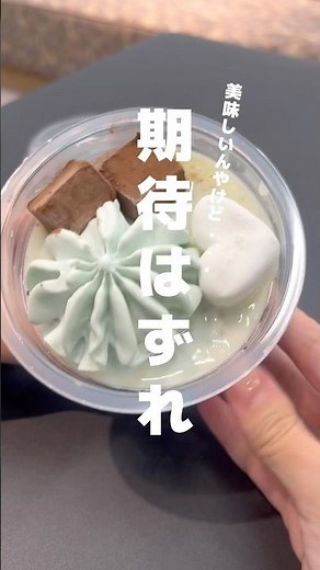 正直、期待しすぎたセブンの白くまチョコミント🥺🍨 #アイス紹介 #アイス #チョコミント