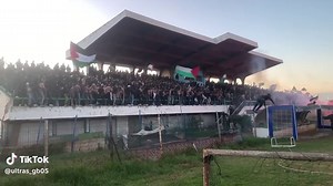 Ultras Green Boys: Passion and Unity in Football