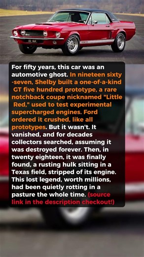 A Priceless Shelby Mustang Was Found Rotting in a Field