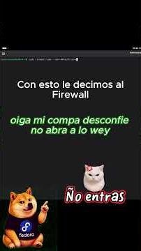 No es por espantarte, pero… ¿y las puertas traseras? 👀