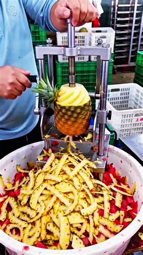 Efficient Automatic Pineapple Peeling Machine for Fast and Seamless Processing #diycrafts