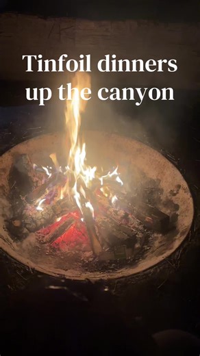 Delicious Tinfoil Dinners: Easy Camping Recipes