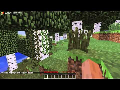 tuto minecraft :comment se rejoindre avec vos amis