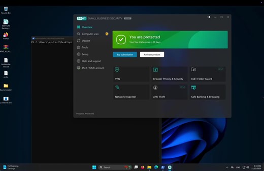 Bypassing ESET to Dump LSASS without Antivirus Detection | Mohammad Rajabi posted on the topic | LinkedIn