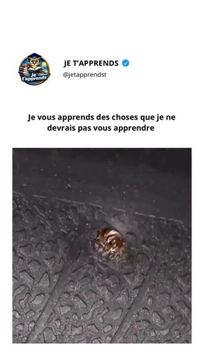 Je t’apprends | Comment réparer un pneu de voiture en quelques minutes Lorsqu’un pneu éclate, c’est comme si un voyage trébuchait sur une petite pierre... | Instagram