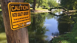 Blue-green algae alert for Lake Winnebago waters
