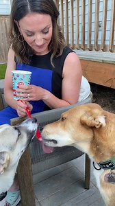 Sharing is caring! 😉 Love summer dinner breaks for sitting on the patio and eating ice cream. Oso and Sauvie are clearly fans, too! 🍦 | Camila Orti