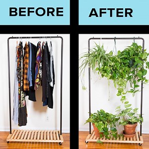 Separate areas in your small space with this easy hanging plant divider! | Tasty Home