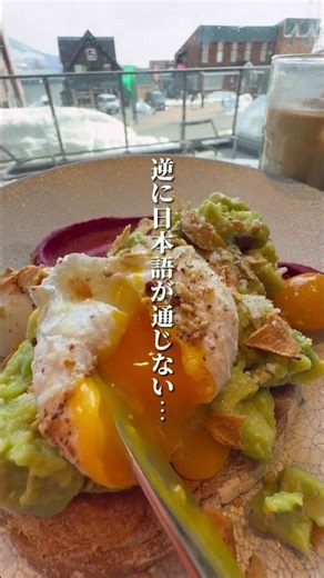 北海道民に行ってほしい名店 #北海道グルメ #グルメ