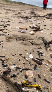 The big clean up at Camber Sands continues slowly. Sieving sand to gather the millions of bio beads spilt by Southern Water. It is a difficult, depressing and slow process. Thanks to @helenadollimore1066 for bringing the culprits to account and raising national awareness of the disaster. Thanks also to @strandliners , @nurdlecoasts and all the locals who have painstakingly raked and sieved the sand with buckets and kitchen sieves. The work will go on for a long time. It is hard to express how mu