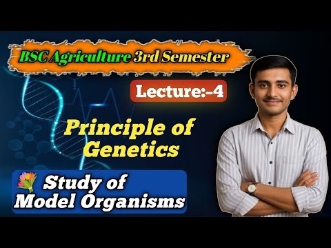 Principle of Genetics part-4 | Chromosome Structure, Terminology & Model Organization Explained