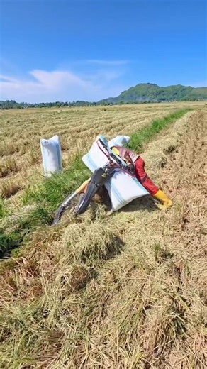 Check out the Chinese sack pulling technique