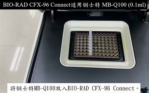 钢士特MB-Q100适用Bio-Rad CFX Connect 96