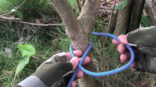 How to tie the Anchor Hitch - Simple and Detailed - Arborist Knots #knotshort | KNOT SHORT