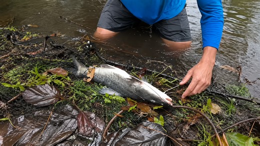 He thought it was just another giant catfish… until he realized he had caught a man-eating monster