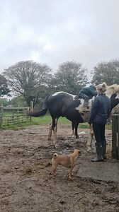 When your laid back parenting rubs off on your child and nothing phases them 😂 no children were harmed in the making of this film 🙈 | No Verbal Filter