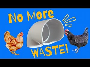 No More Waste! Revolutionary Chicken Feeder Port