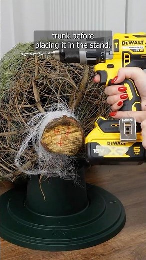 My grandpa always drilled holes in Christmas tree