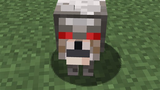 Minecraft Wolf Variants & Wolf Armor: Biomes, Scutes, Tips