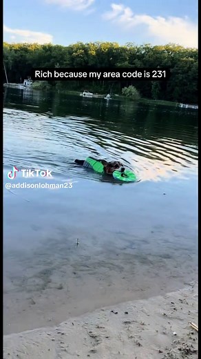 Exploring the Richness of Michigan's 231 Area Code