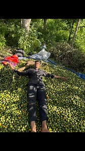 #reelschallenge #indian | Alom Vlogs