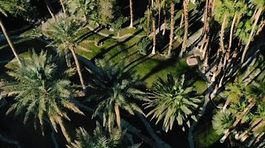 The Inn and The Ranch at Death Valley are proud to be part of Xanterra Travel Collection #XanterraTravel #OasisAtDeathValley https://www.xanterra.com/ | The Oasis at Death Valley | Facebook