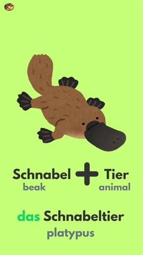 Animal names in German?