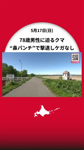 【ヒグマ速報】78歳男性がクマに襲われるも“鼻パンチ”で撃退＿男性にけがはなし…クマの体長は1.5メートルとみられ警察が警戒強める〈北海道士別市多寄町〉 #北海道ニュースUHB #北海道 #クマ #ヒグマ #士別市 #多寄町 #クマ撃退 #山菜採り #熊 #TikTokでニュース